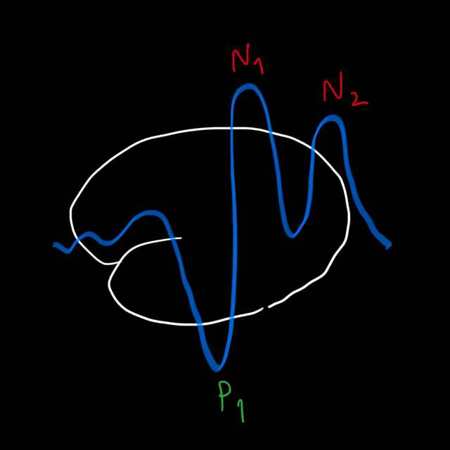 Cognitive Neuroscience